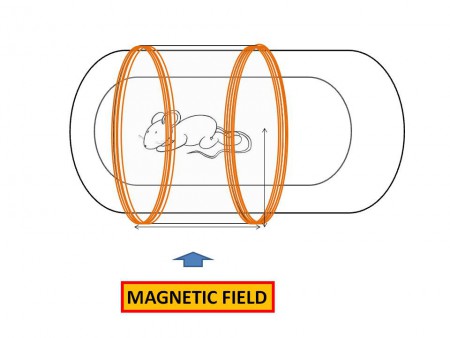 DISPOSITIVO BIOMAGNETICO PER TRATTAMENTO IN VIVO